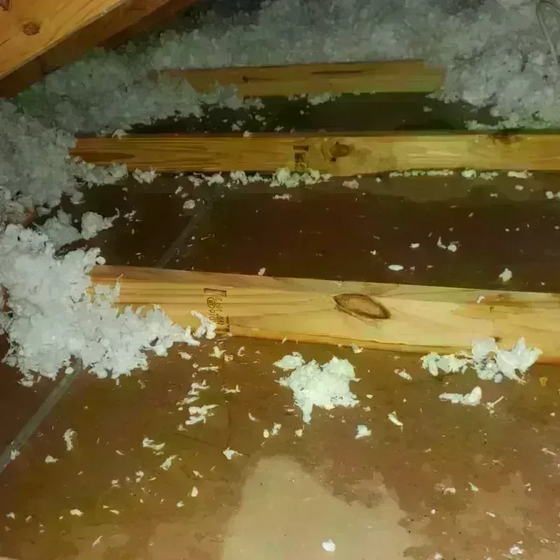 Attic Water Damage in Galliano, LA